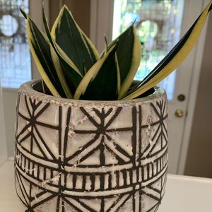 Meet your Posher, Carrie